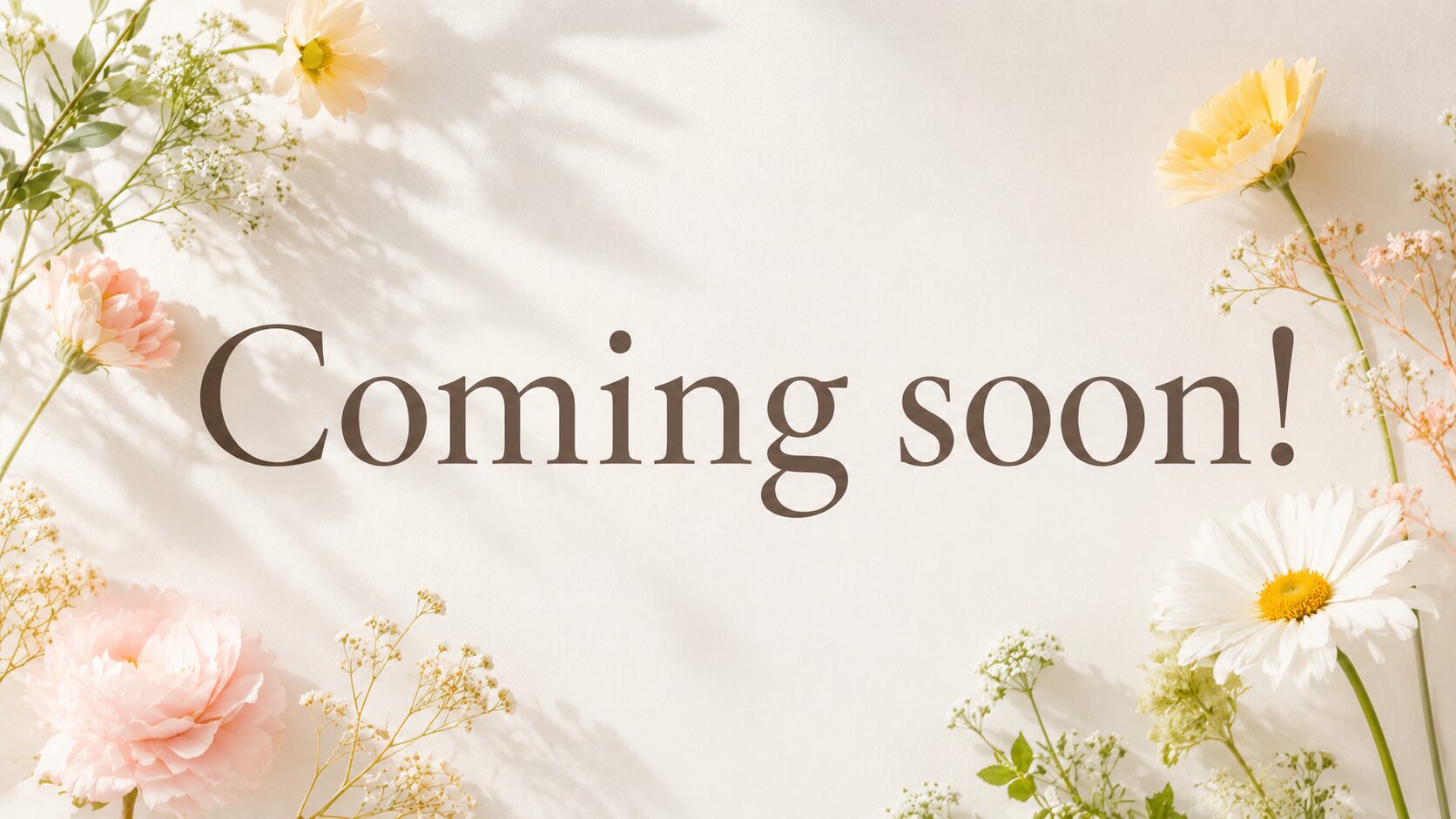 ＼Coming soon！／